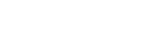 The University of Hong Kong